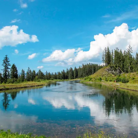 Daire Der Pinsler By Interhome Fügen