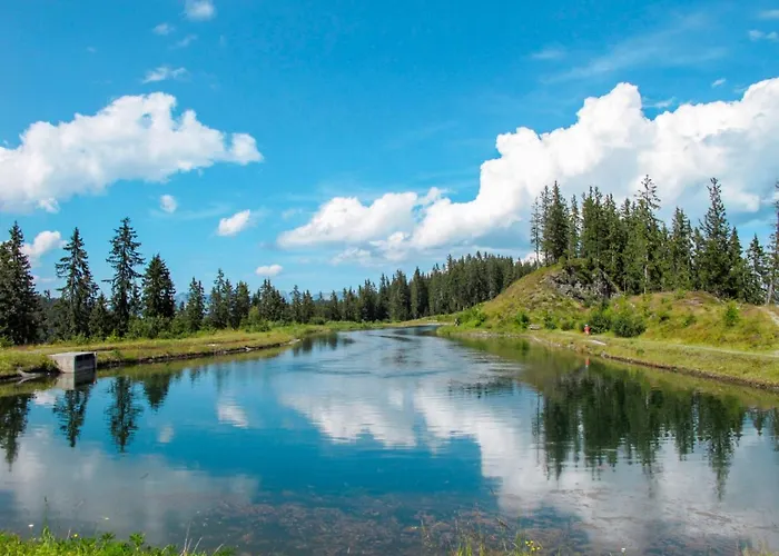 公寓 Der Pinsler By Interhome 菲根